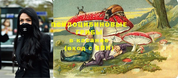 2c-b Надым