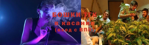 сатива Алексин